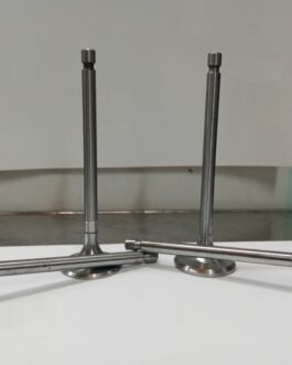 VENTILI ZA VELIKI URSUS 355-360