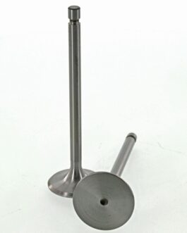 VENTILI ZA MALI URSUS 335